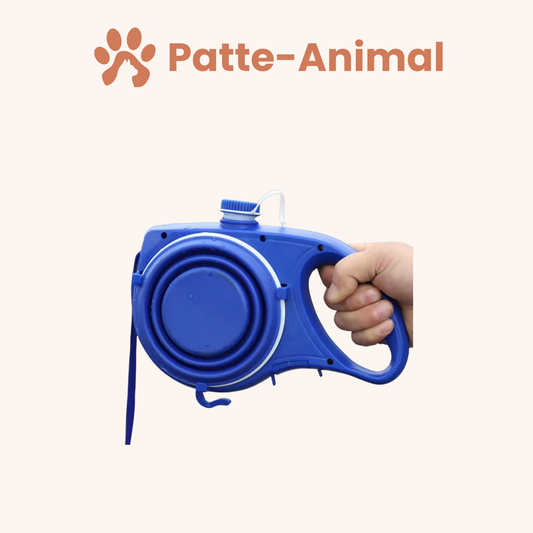 Laisse pour chien