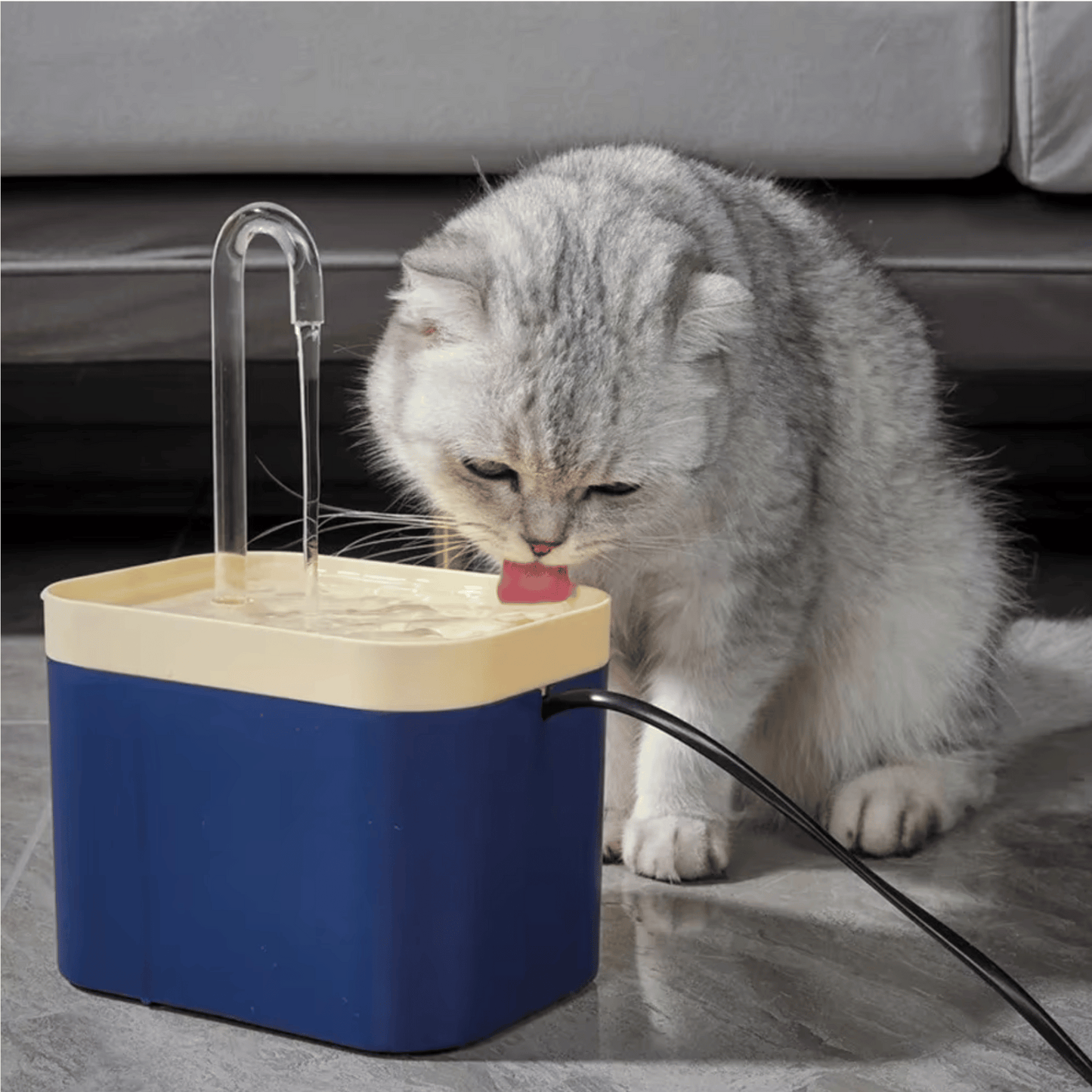 Fontaine a eau chat