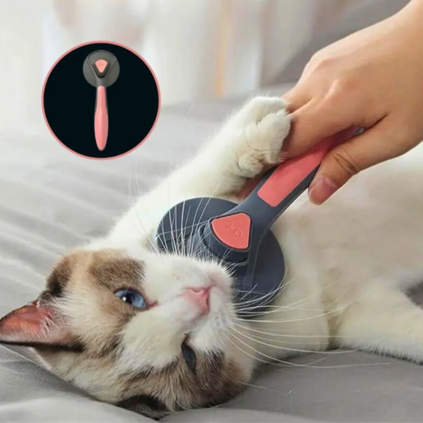 Brosse pour chat