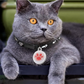 Collier gps chat