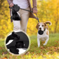 Laisse pour chien