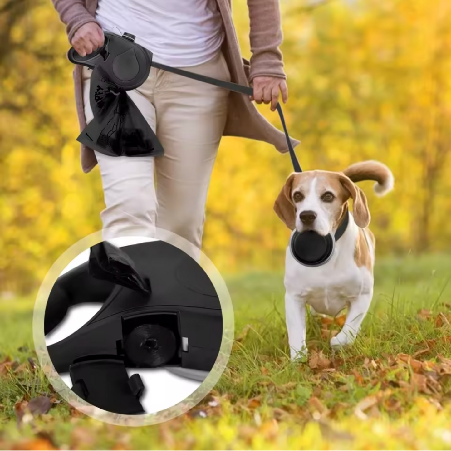Laisse pour chien