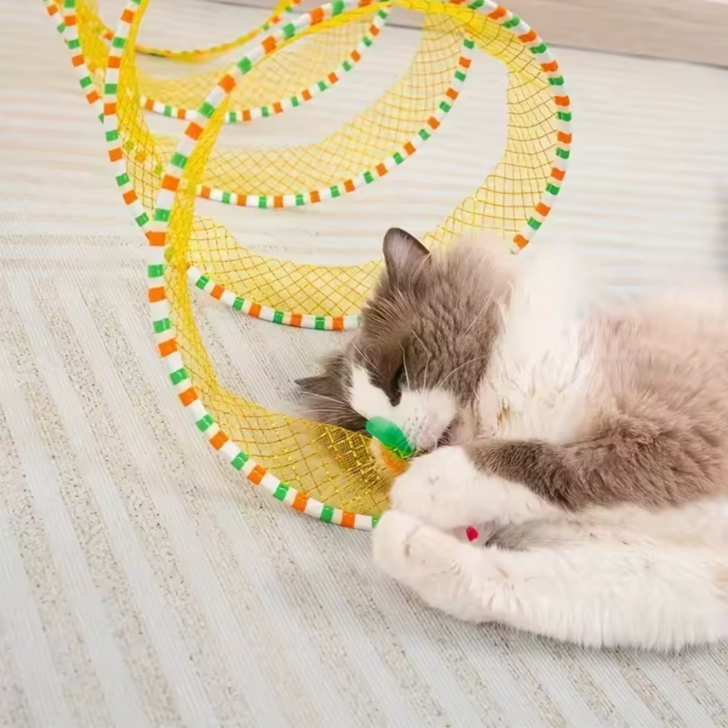 Jouet pour chat - Tunnel pour chat