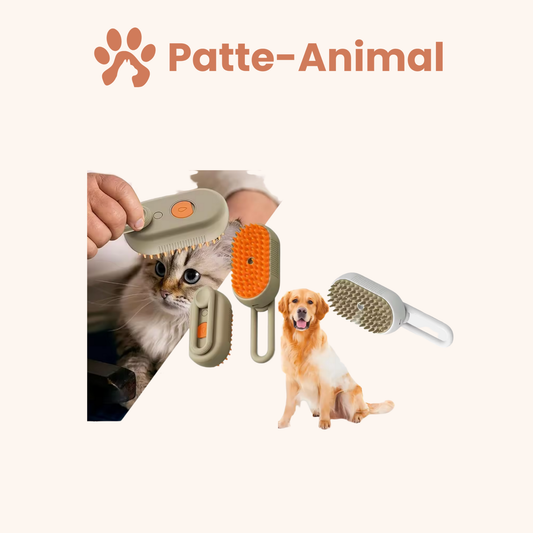 Brosse anti poil vapeur