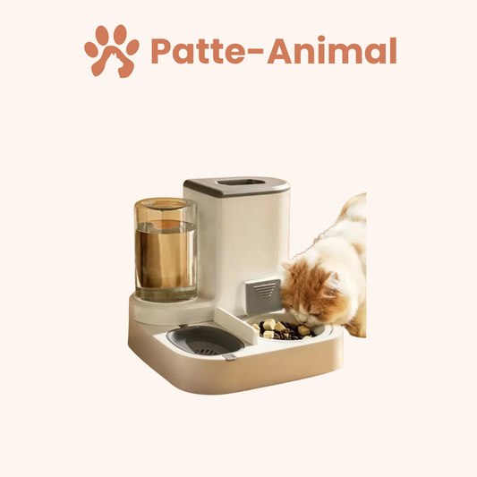 distributeur de croquettes pour chat