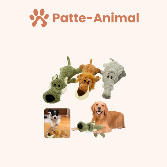 Jouet pour chien - Peluche pour chien indestructible