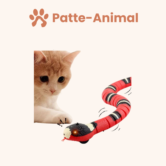 Jouet pour chat - jouet serpent