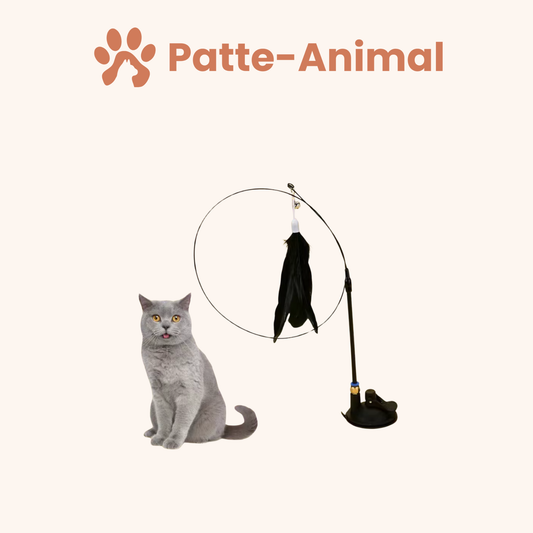 Jouet pour chat - Plume ventouse