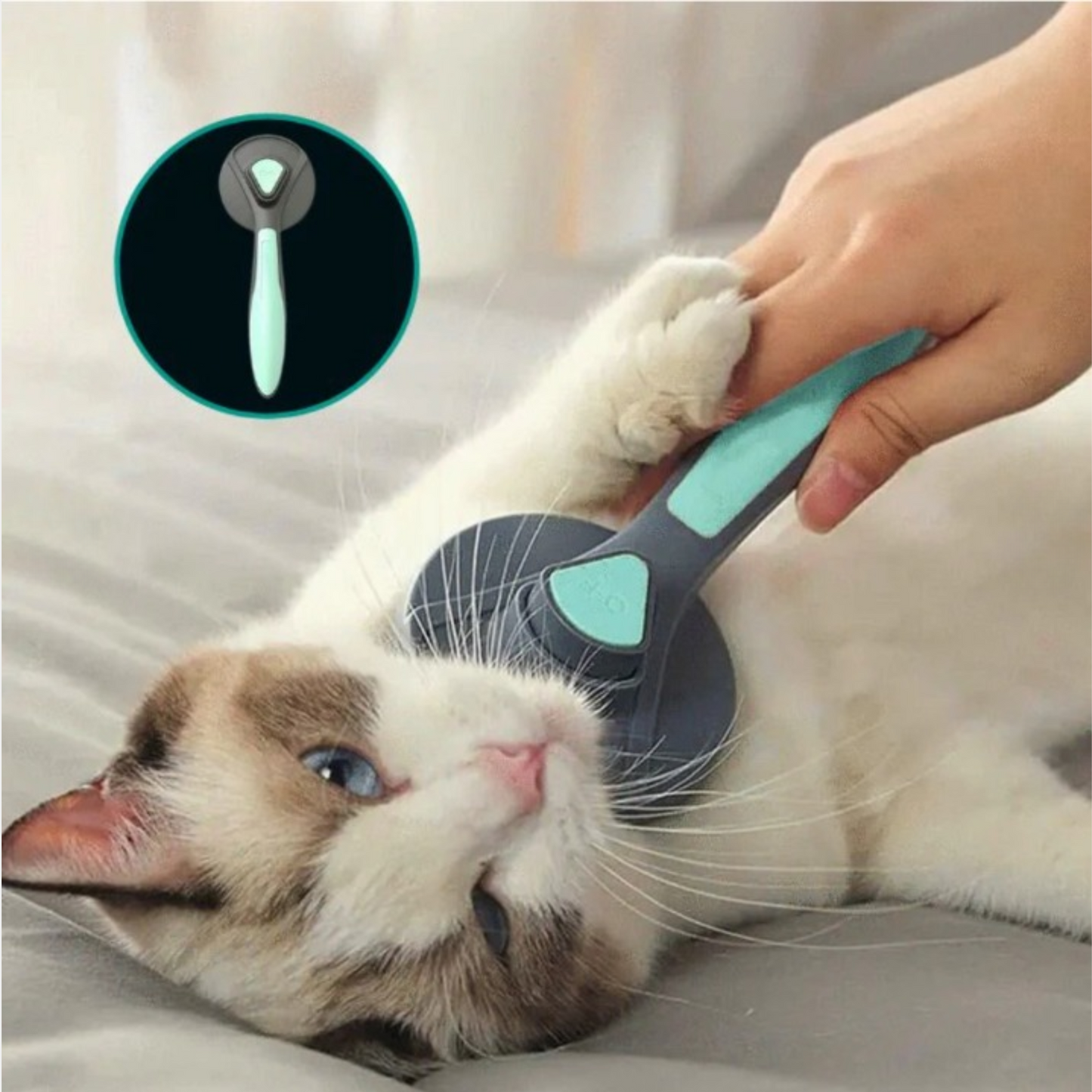 Brosse pour chat