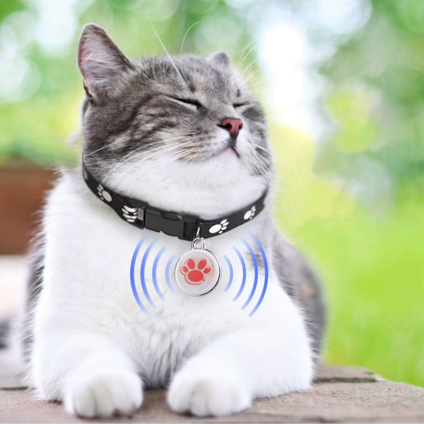 Collier gps chat