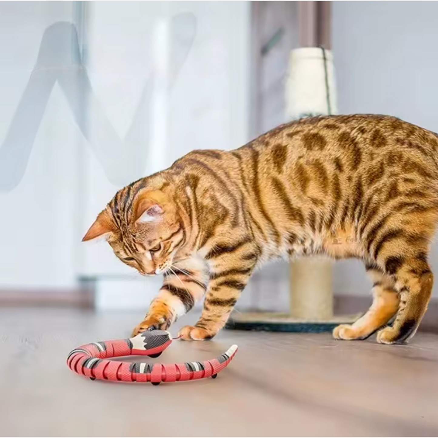 Jouet pour chat - jouet serpent