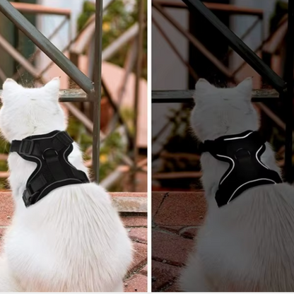 Harnais chat - harnais anti fugue