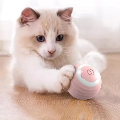 Jouet pour chat - Balle interactive
