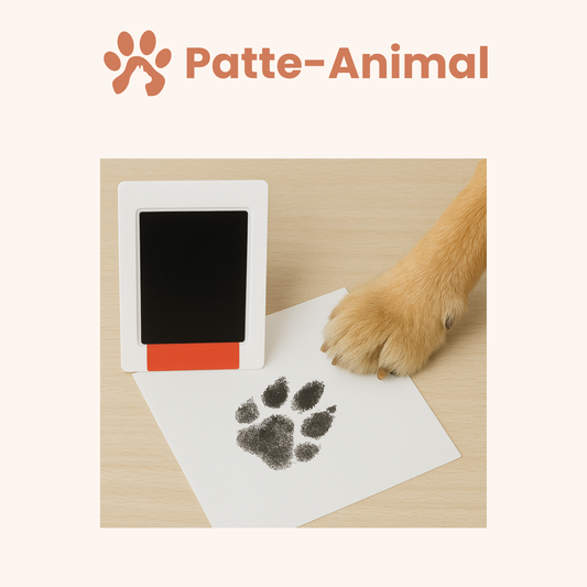 Kit d'empreinte chien et chat
