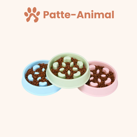 Gamelle anti glouton