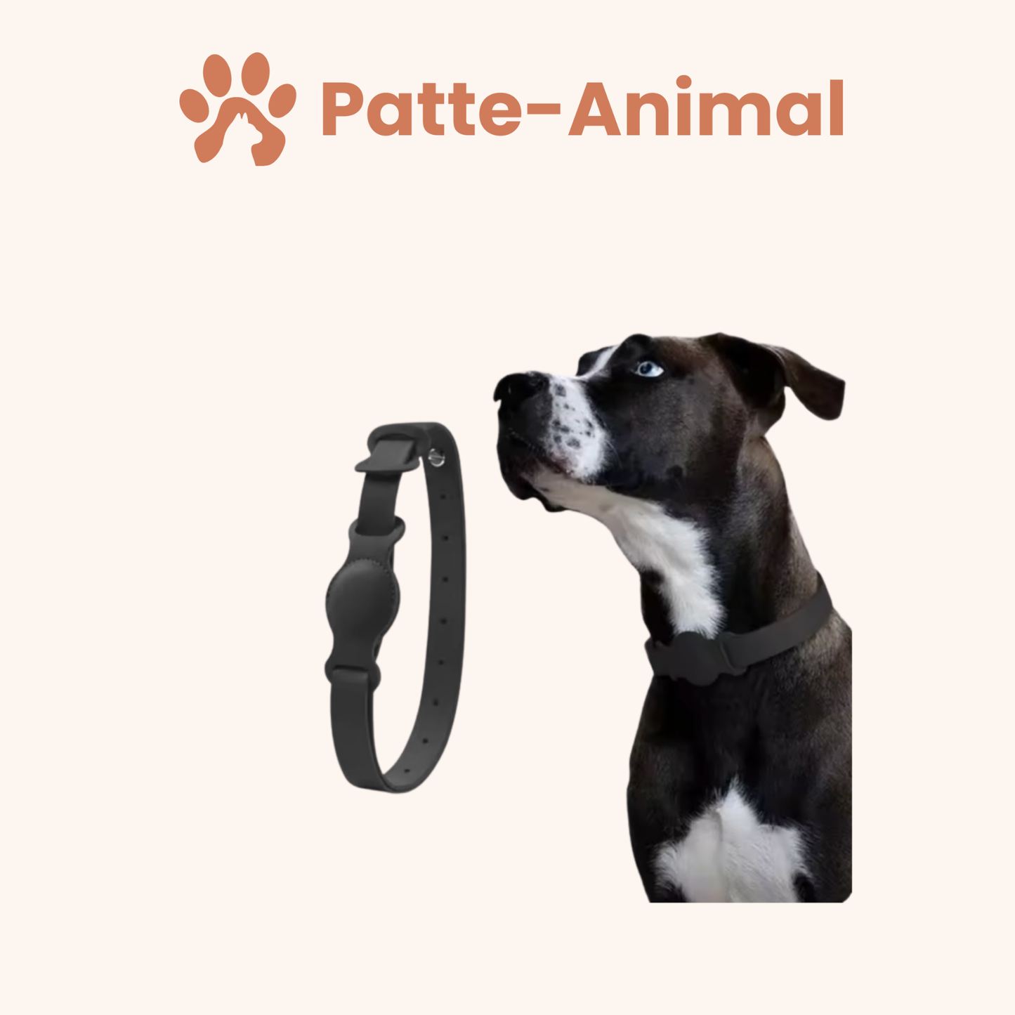 Collier chien Airtag