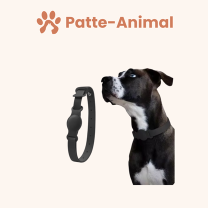 Collier chien Airtag