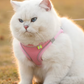 Harnais chat