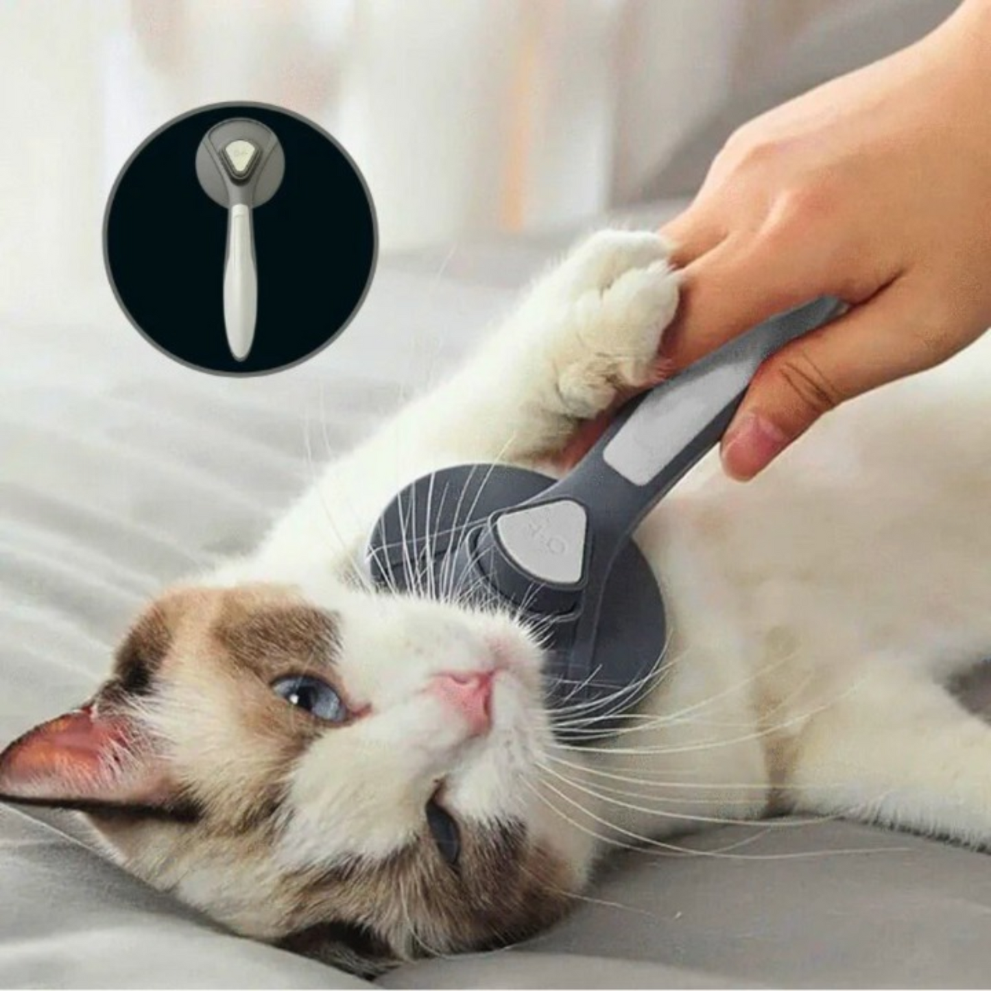 Brosse pour chat