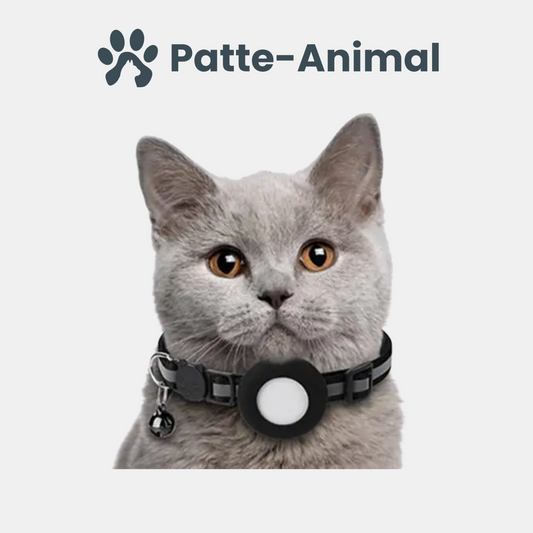 Collier gps chat