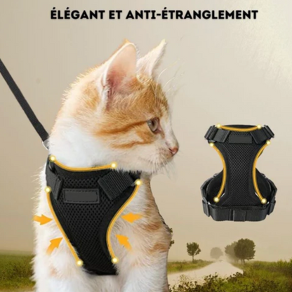 Harnais chat - harnais anti fugue