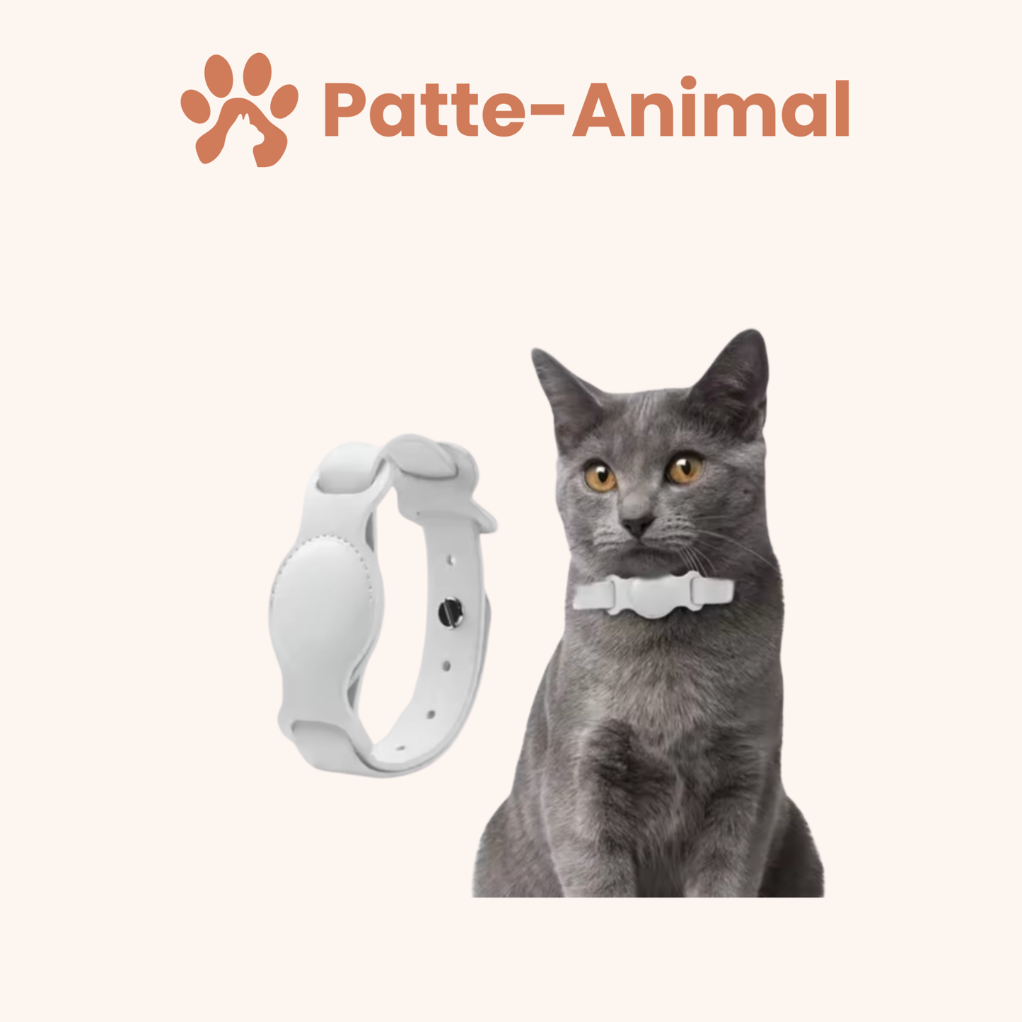 Collier chat Airtag