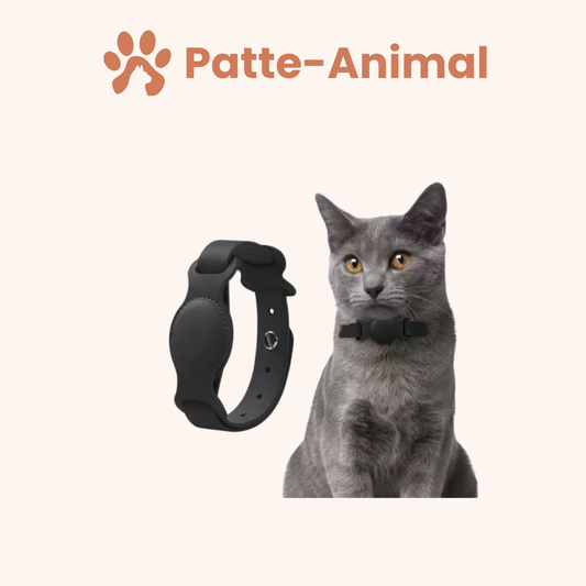 Collier chat Airtag