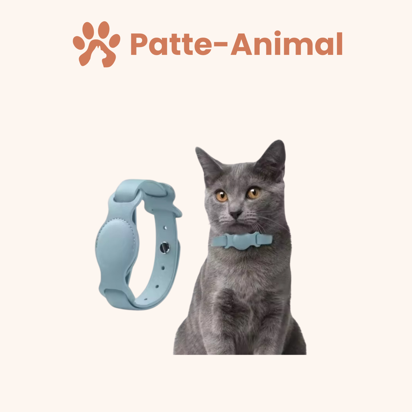 Collier chat Airtag