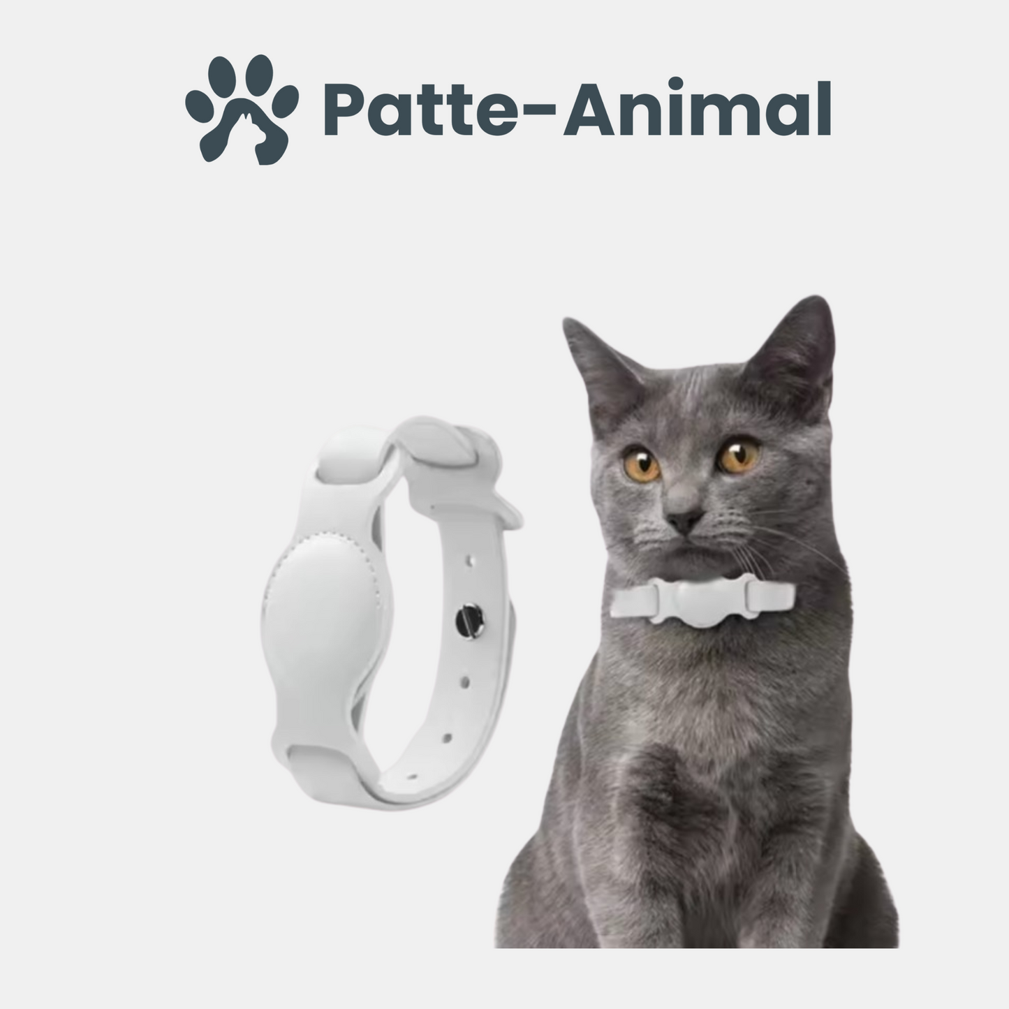 Collier chat Airtag