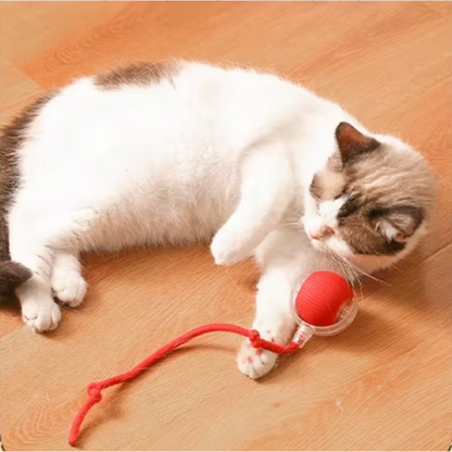 Jouet pour chat - Balle magique