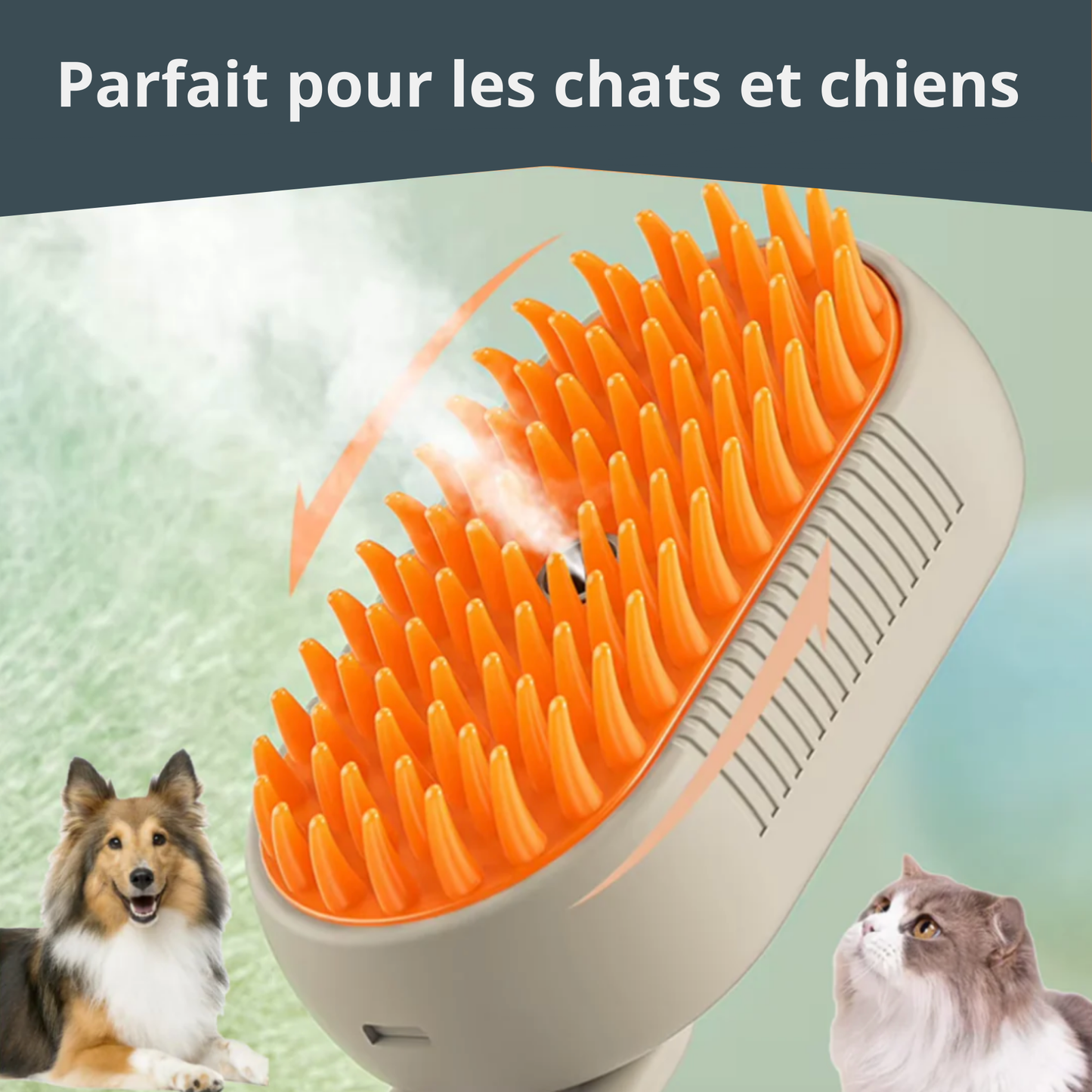 Brosse anti poil vapeur