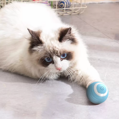 Jouet pour chat - Balle interactive