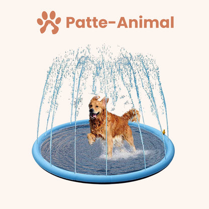 Piscine pour chien