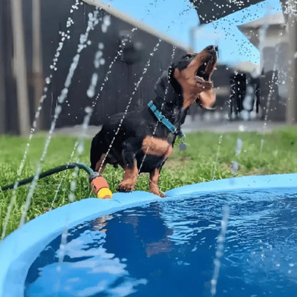 Piscine pour chien