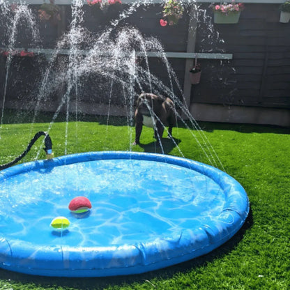 Piscine pour chien