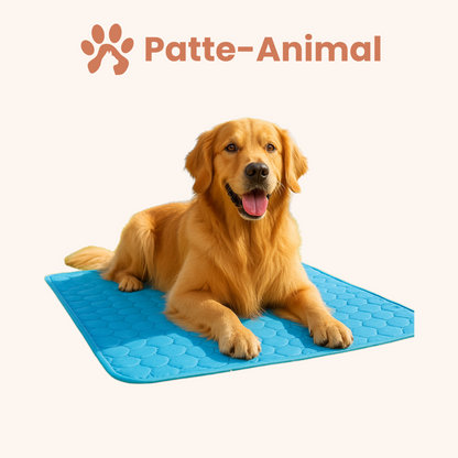 Tapis Rafraîchissant pour Animaux