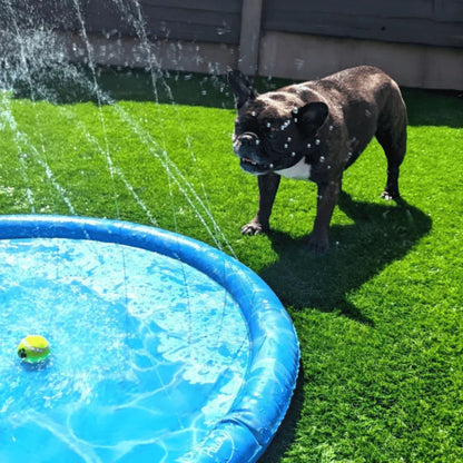 Piscine pour chien