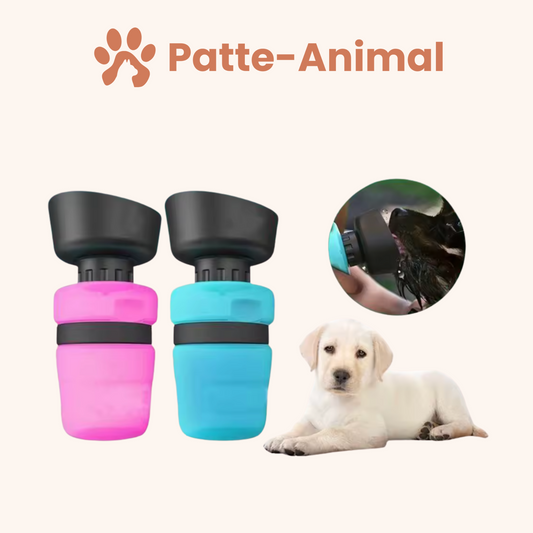 Gourde pour chien
