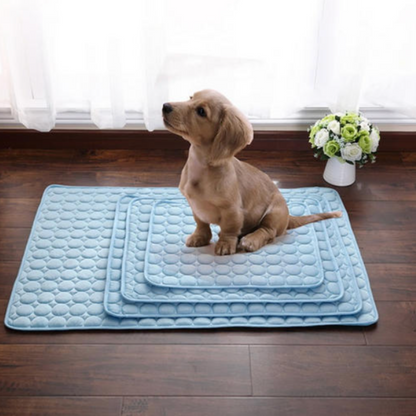 Tapis Rafraîchissant pour Animaux