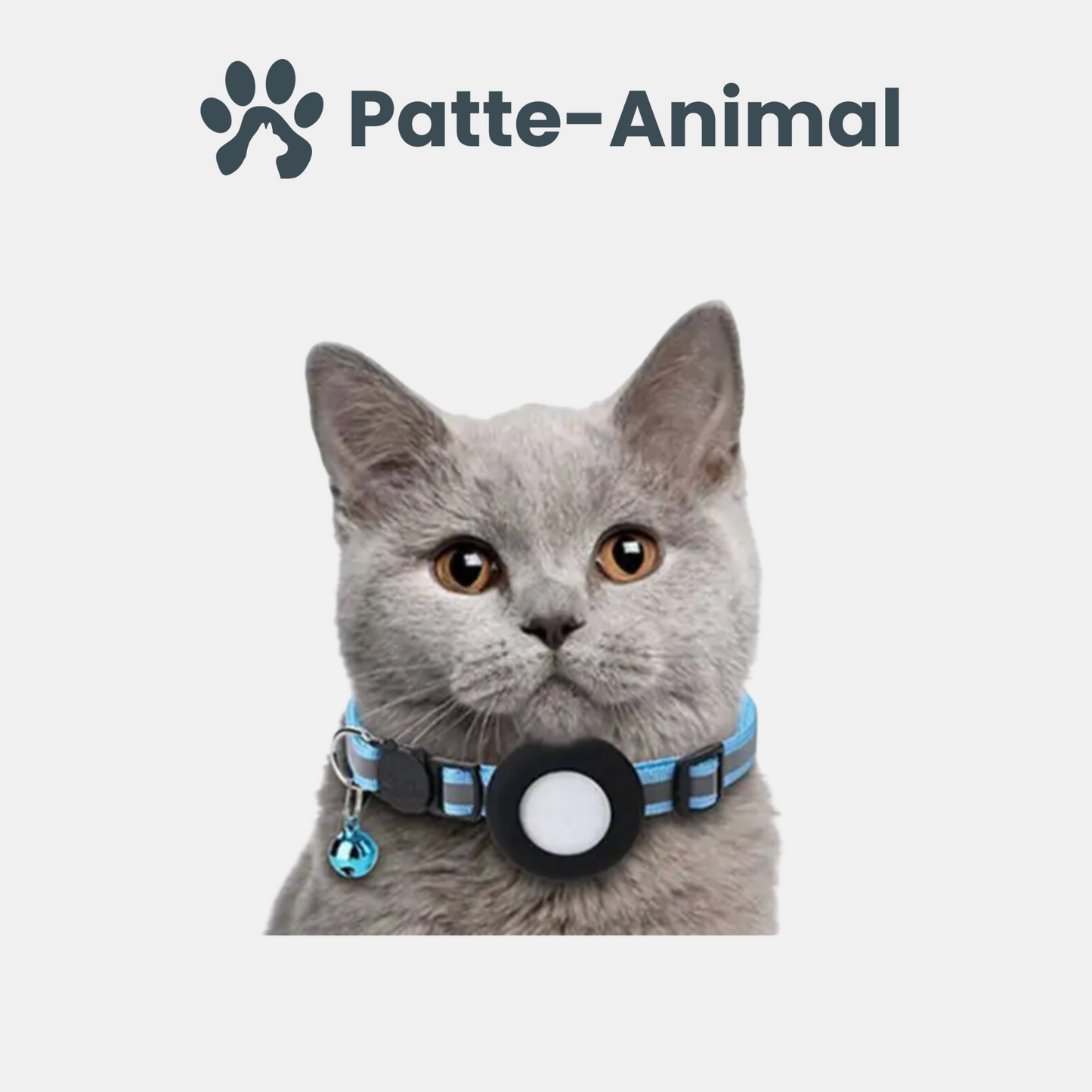 Collier gps chat