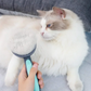 Brosse pour chat