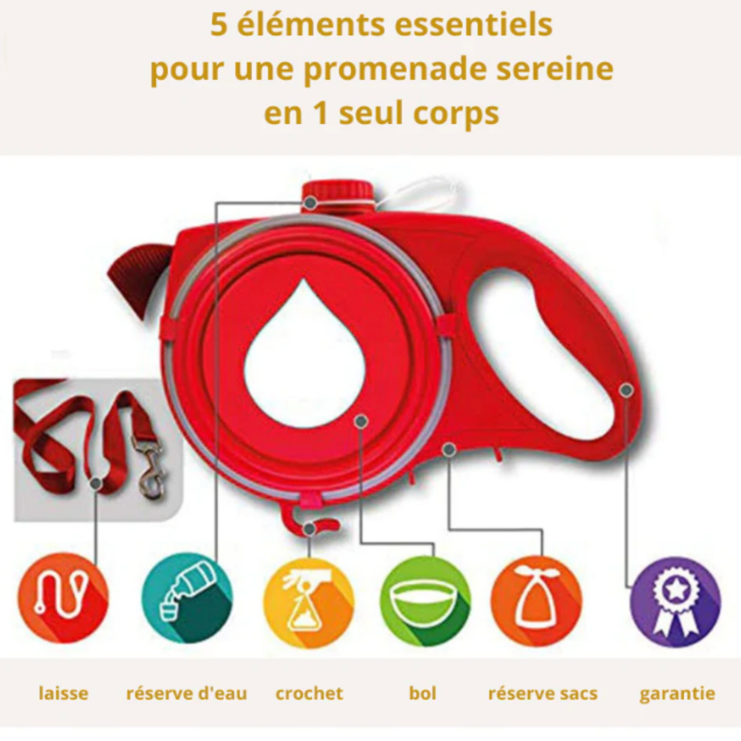 Laisse pour chien