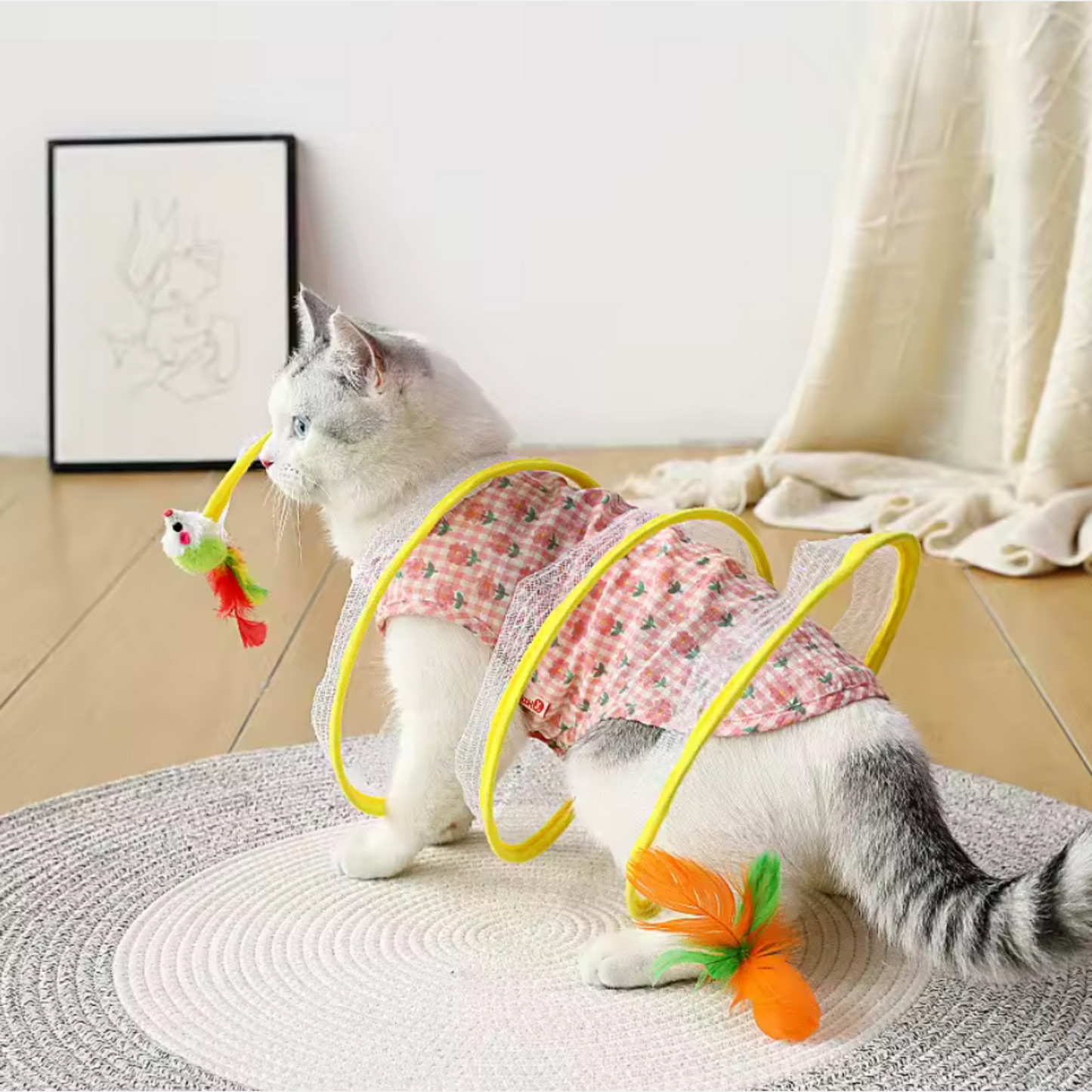 Jouet pour chat - Tunnel pour chat