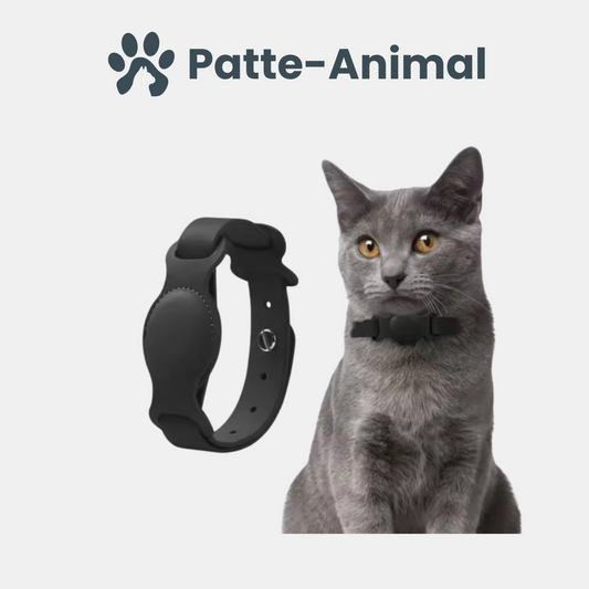 Collier chat Airtag