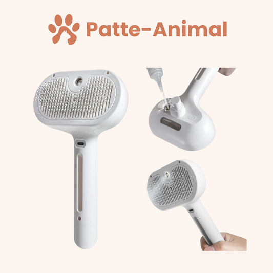 Brosse Vapeur Animaux