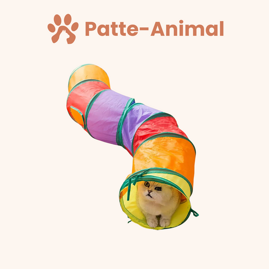 Tunnel de Jeu Interactif pour Chat