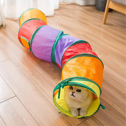 Tunnel de Jeu Interactif pour Chat