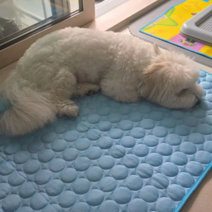 Tapis Rafraîchissant pour Animaux