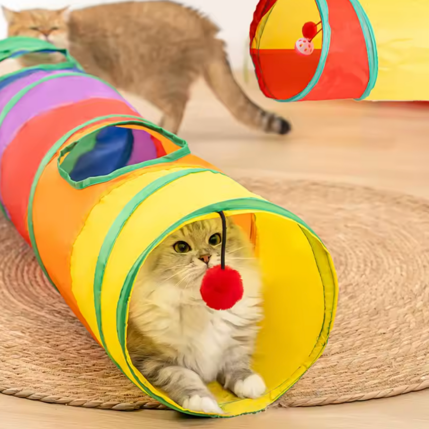 Tunnel de Jeu Interactif pour Chat
