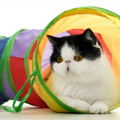 Tunnel de Jeu Interactif pour Chat